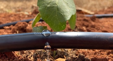 DRIP IRRIGATION SYSTEMS